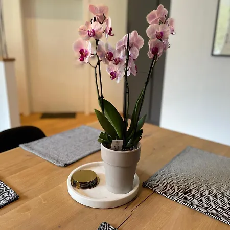 1919 Apartment *